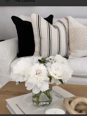 2 Woven Nook pillow covers. 22x22